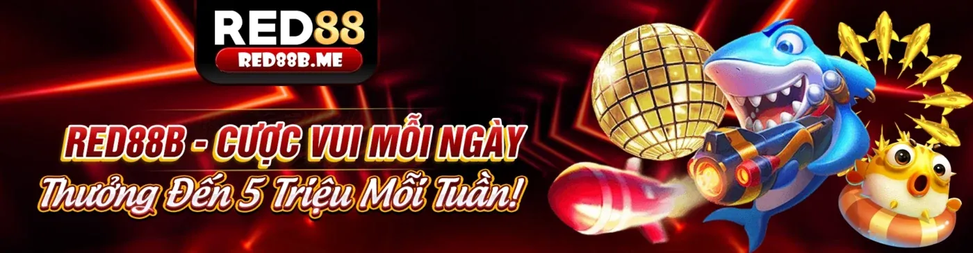 Tin tức fly88t đăng nhập 2026